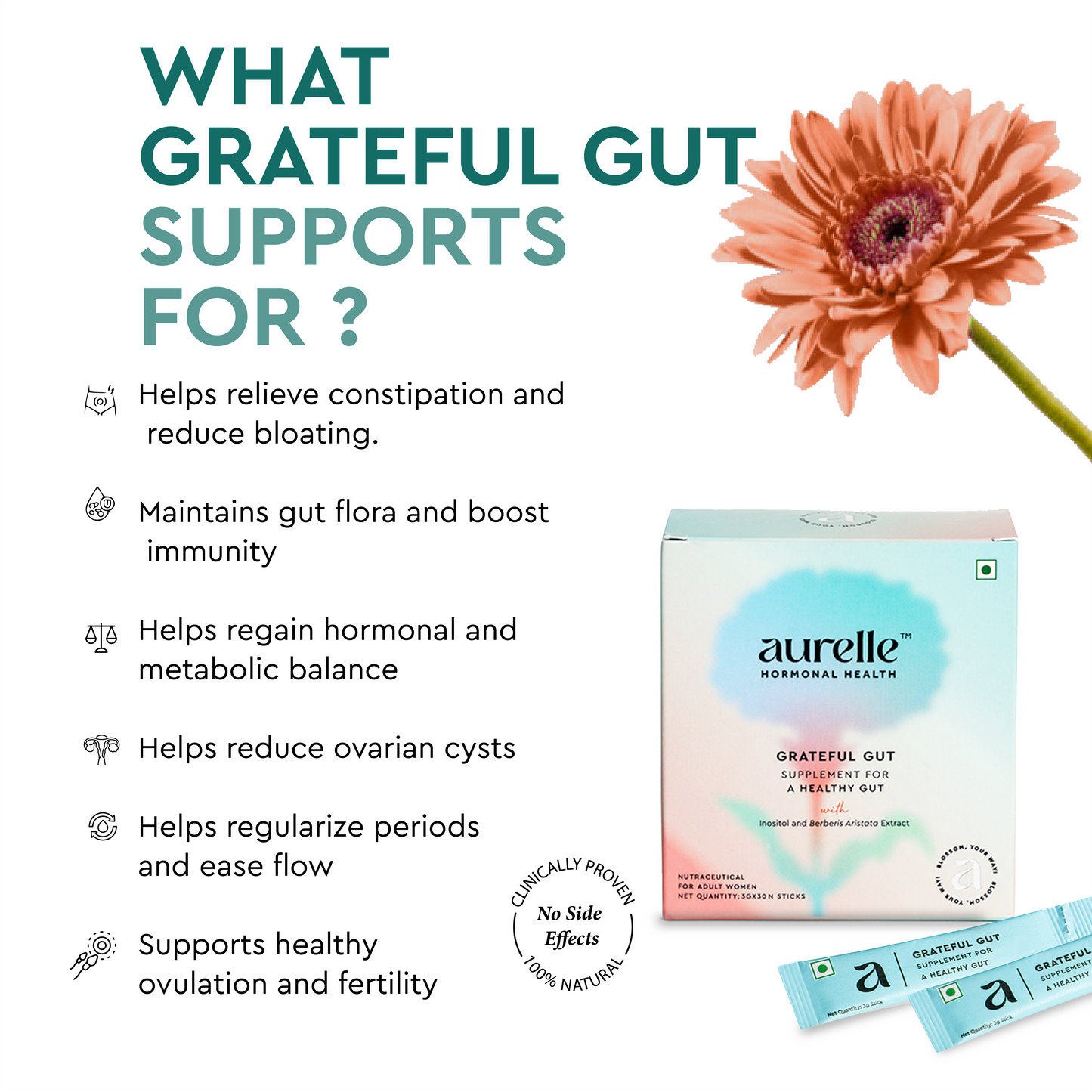 GRATEFUL GUT